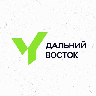 Логотип канала yfl_dv