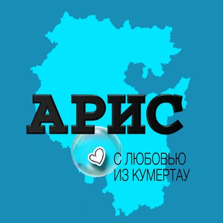 Логотип aris_info