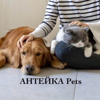 Логотип канала Anteika_Pet_Toys