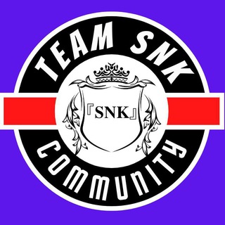 Логотип teamsnk_sn