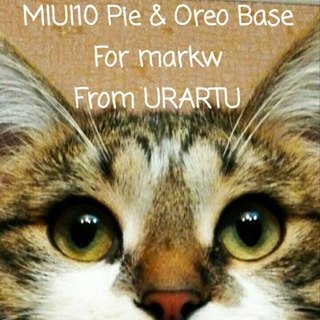 Логотип miui10pieformarkw