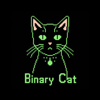 Логотип канала binarcat