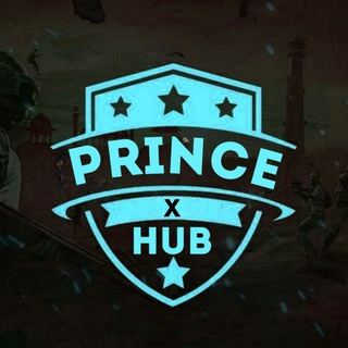 Логотип princexhub