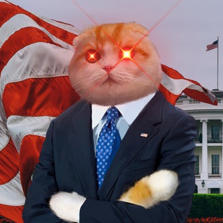 Логотип presidentcalls