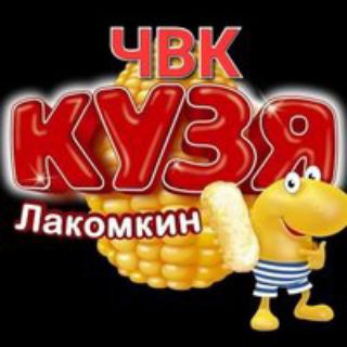 Логотип канала kuza_lakomkin0