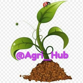 Логотип канала agri_hub