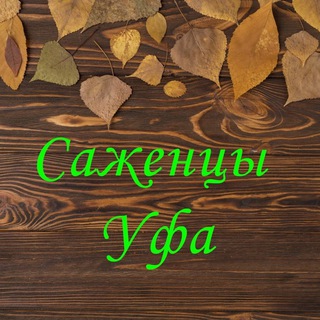 Логотип sady_ufa