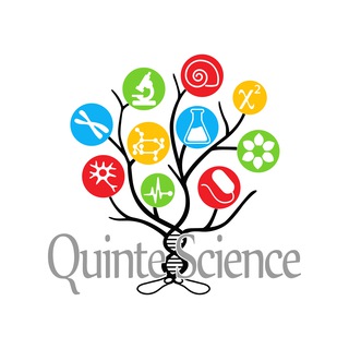 Логотип quintescience