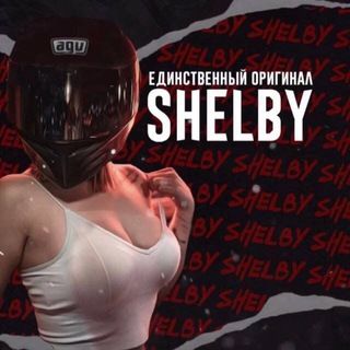 Логотип канала shelby_kz