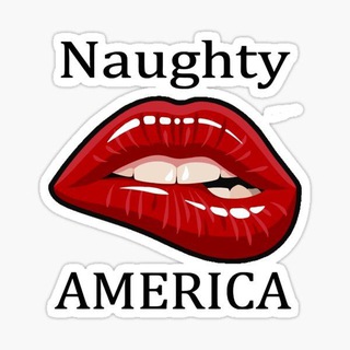 Логотип канала naughtyamerica_pr