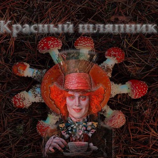 Логотип канала The_red_hatter