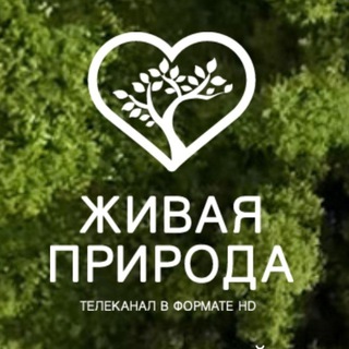 Логотип канала wildnaturehd