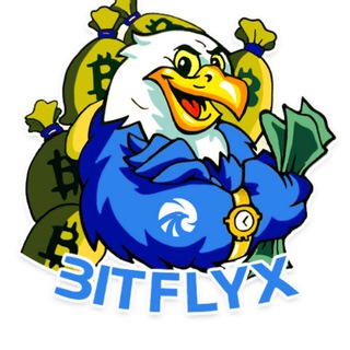 Логотип bitflyxta