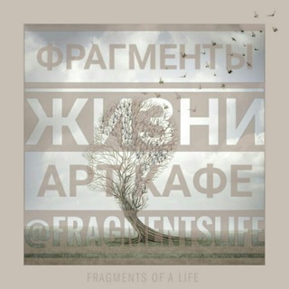 Логотип канала fragmentslife