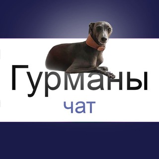 Логотип vitamodo_chat