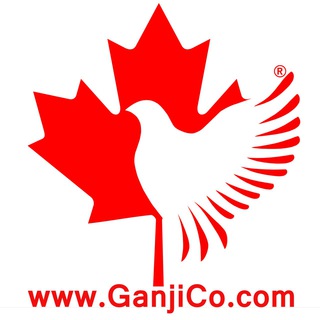 Логотип canada_ganji_immigration