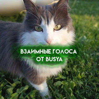 Логотип канала black_pets