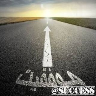 Логотип success1359