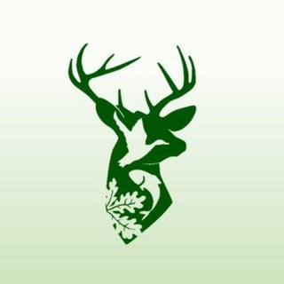 Логотип канала gkbiort