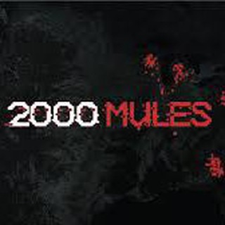 Логотип канала mules2000usaq