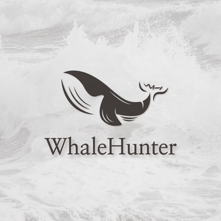 Логотип канала whale_hunter_en