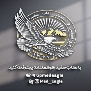 Логотип канала gpmedeagle