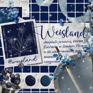 Логотип канала weisland