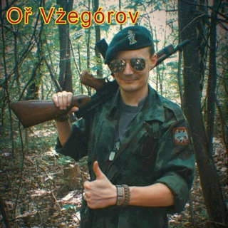 Логотип канала orvzegorov