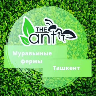 Логотип канала theantuz