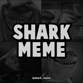 Логотип shark_meme