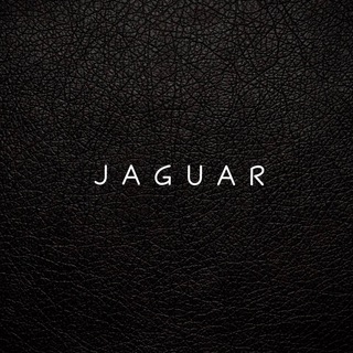 Логотип канала jaguarnew