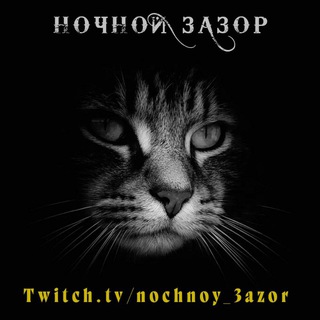 Логотип канала nochnoy_3azor