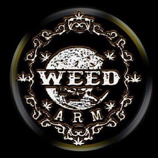Логотип wedarm