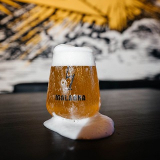 Логотип канала malanka_taproom_minsk