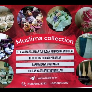 Логотип канала muslimacollection