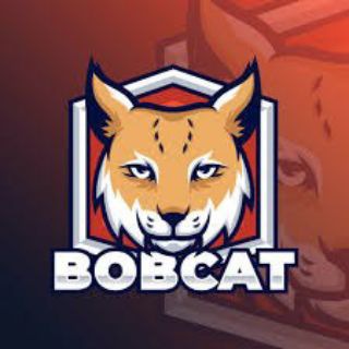 Логотип cryptobobcats