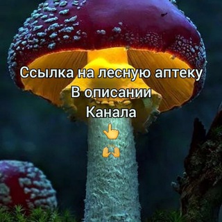 Логотип канала mariyaamanita