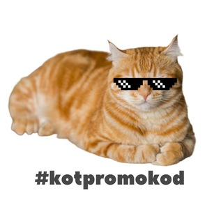 Логотип канала kot_promokod