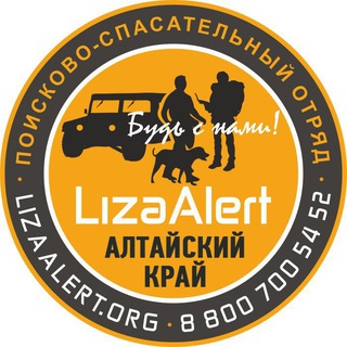 Логотип канала lizaalert22