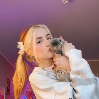 Логотип ilonameow