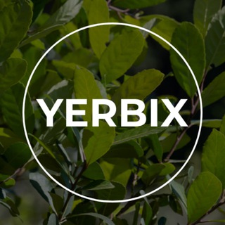 Логотип канала yerbix_ru