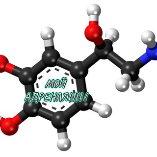 Логотип cardiacneedle