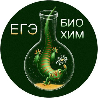 Логотип канала egechimbio