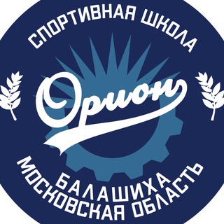 Логотип канала orionsportschool