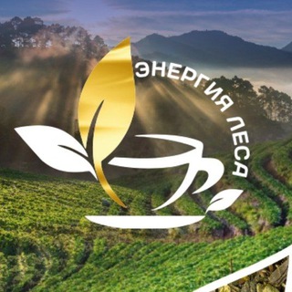 Логотип канала tea_energy_club