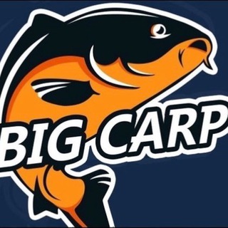 Логотип канала bigcarp2020