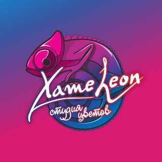 Логотип xameleon_belgorod