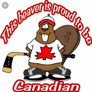 Логотип канала canadian_beavers