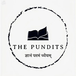 Логотип thepundits_official