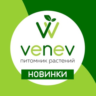 Логотип venevnew